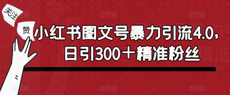 小红书图文号暴力引流4.0，日引300＋精准粉丝【揭秘】-夜影资源