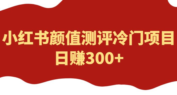 外面1980的项目，小红书颜值测评冷门项目，日赚300+【揭秘】-夜影资源