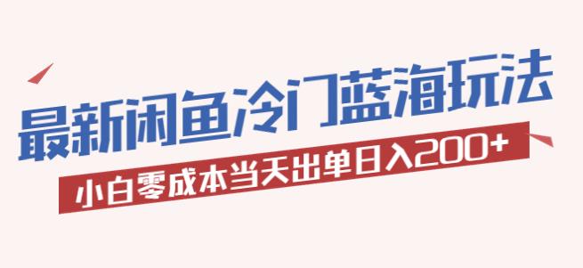 2023最新闲鱼冷门蓝海玩法，小白零成本当天出单日入200+【揭秘】-夜影资源