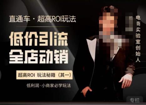 电商冰可乐·直通车·《低价引流·全店动销》，直通车·超高ROI玩法（其一）全店动销必学玩法-夜影资源