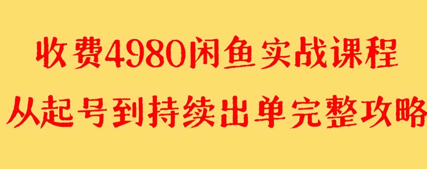 （8359期）外面收费4980闲鱼无货源实战教程 单号4000+-夜影资源