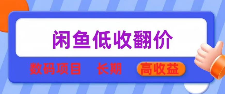 闲鱼低收翻价数码暴利项目，长期高收益【揭秘】-夜影资源