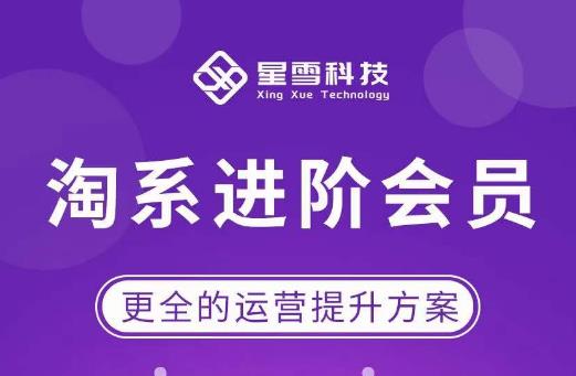星雪·淘系进阶课程，快速提升突破技能流量瓶颈必备（更新2023年5月）-夜影资源