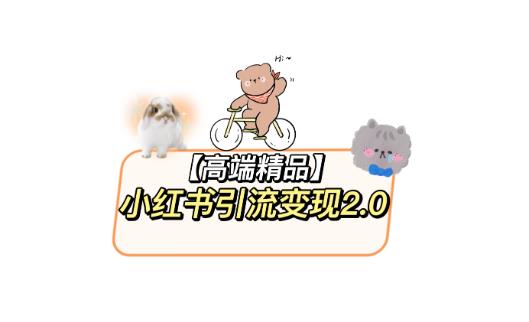 小红书最新引流变现教程，全网最新最详细的视频教程以及素材-夜影资源
