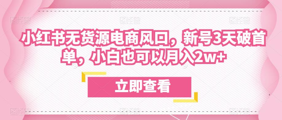 众狼电商余文小红书无货源电商风口，新号3天破首单，小白也可以月入2w+-夜影资源
