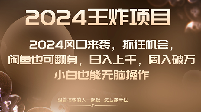 （8401期）2024风口项目来袭，抓住机会，闲鱼也可翻身，日入上千，周入破万，小白…-夜影资源