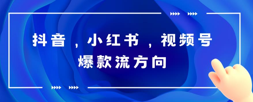 抖音，小红书，视频号爆款流视频制作，简单制作掌握流量密码-夜影资源