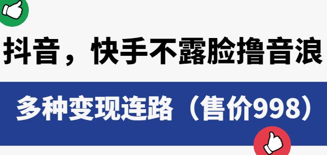 抖音快手不露脸撸音浪项目，多种变现连路（售价998）-夜影资源