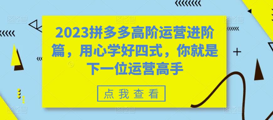 2023拼多多高阶运营进阶篇，用心学好四式，你就是下一位运营高手-夜影资源