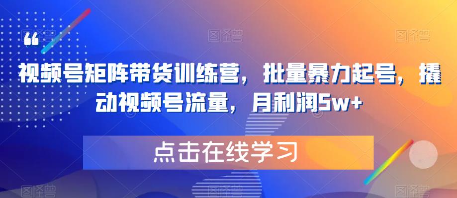 视频号矩阵带货训练营，批量暴力起号，撬动视频号流量，月利润5w+-夜影资源