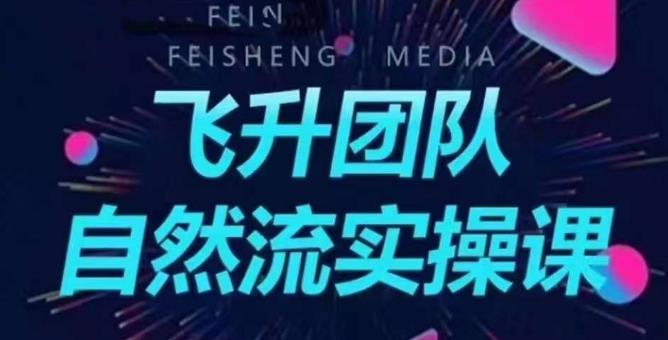 飞升团队课程自然流实操课，抖音半无人起号主播间搭建教学-夜影资源