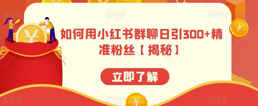 如何用小红书群聊日引300+精准粉丝【揭秘】-夜影资源
