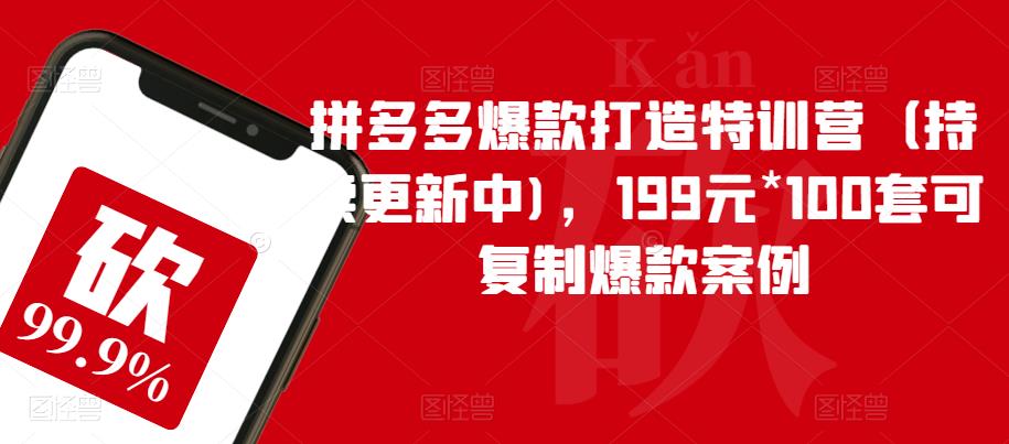 拼多多爆款打造特训营（持续更新中)，199元*100套可复制爆款案例-夜影资源