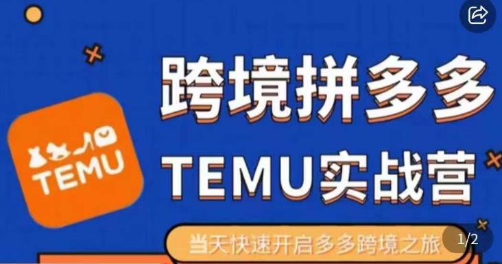 大鹏出海·拼多多跨境temu运营指导，开店注册+选品+核价上架，日出千单实战课-夜影资源
