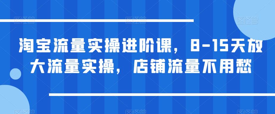 淘宝流量实操进阶课，8-15天放大流量实操，店铺流量不用愁-夜影资源