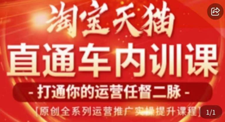 天问电商·2023淘宝天猫直通车内训课，零基础学起直通车运营实操课程-夜影资源