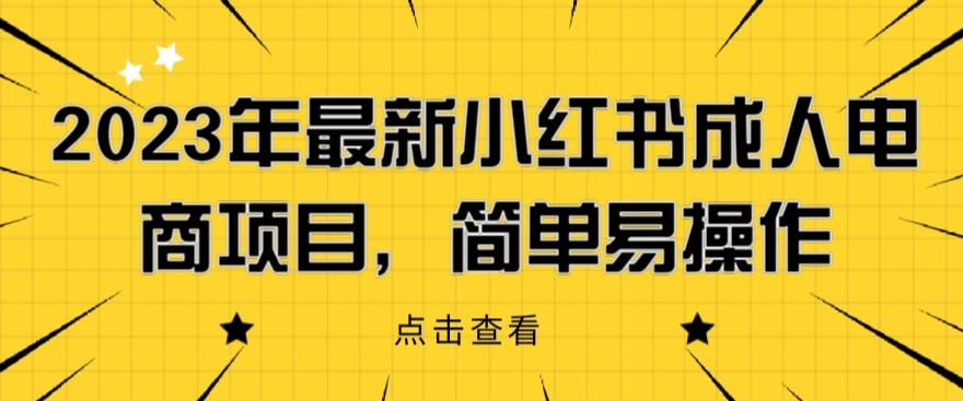 2023年最新小红书成人电商项目，简单易操作【详细教程】【揭秘】-夜影资源