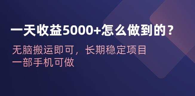 一天收益5000+怎么做到的？无脑搬运即可，长期稳定项目，一部手机可做【揭秘】-夜影资源