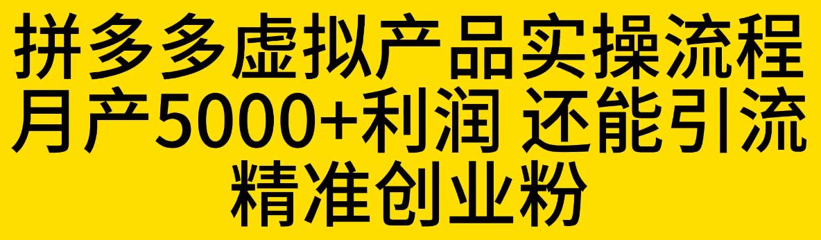 拼多多虚拟产品实操流程，月产5000+利润，还能引流精准创业粉【揭秘】-夜影资源