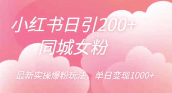 小红书日引200+同城女粉，最新实操爆粉玩法，单日变现1000+【揭秘】-夜影资源