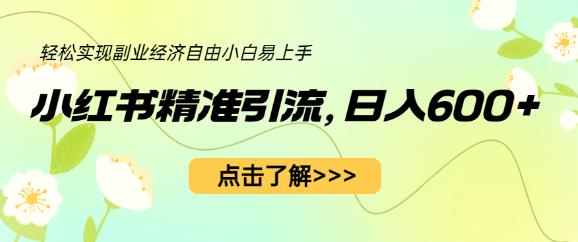 小红书精准引流，小白日入600+，轻松实现副业经济自由（教程+1153G资源）-夜影资源