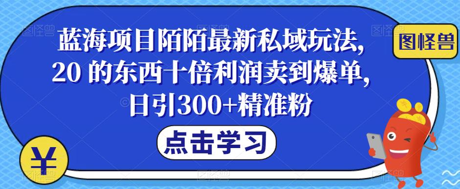 蓝海项目陌陌最新私域玩法，20 的东西十倍利润卖到爆单，日引300+精准粉【揭秘】-夜影资源