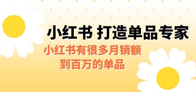 某公众号付费文章《小红书打造单品专家》小红书有很多月销额到百万的单品-夜影资源