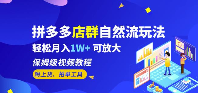 拼多多店群自然流玩法，轻松月入1W+保姆级视频教程（附上货、拍单工具）-夜影资源