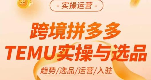 伍跃·跨境拼多多TEMU实操与选品，​趋势/选品/运营/入住（27节完整）-夜影资源