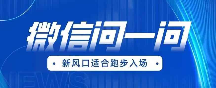全网首发微信问一问新风口变现项目（价值1999元）【揭秘】-夜影资源