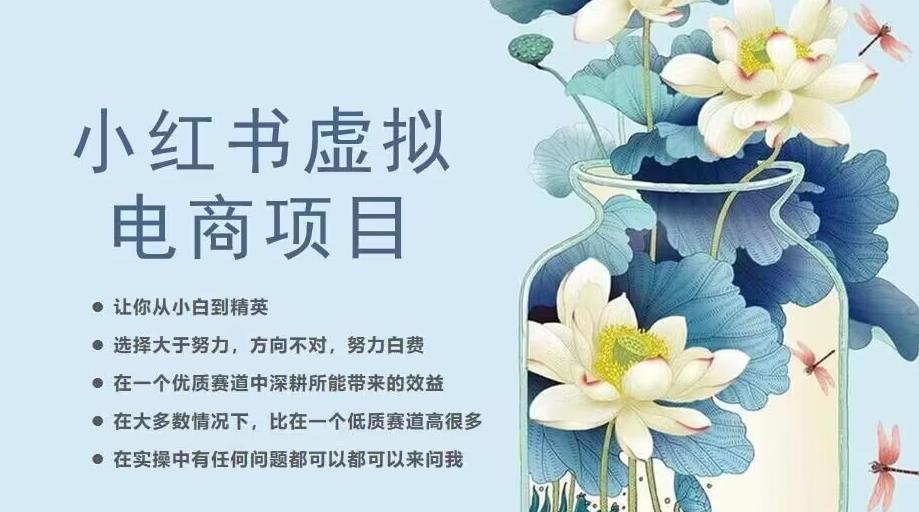 小红书虚拟电商从0到1，让你从小白到精英（20节实操课程）-夜影资源