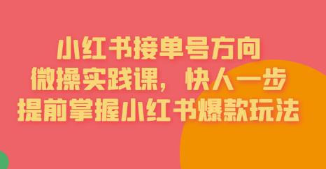 接单号方向·小红书微操实践课，快人一步，提前掌握小红书爆款玩法-夜影资源