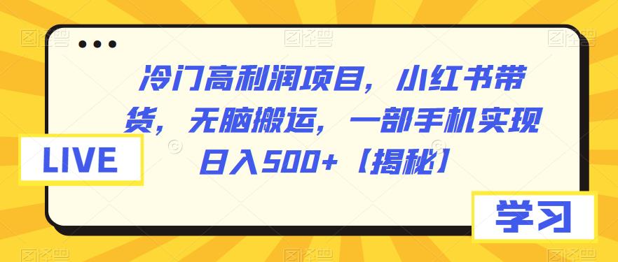 冷门高利润项目，小红书带货，无脑搬运，一部手机实现日入500+【揭秘】-夜影资源