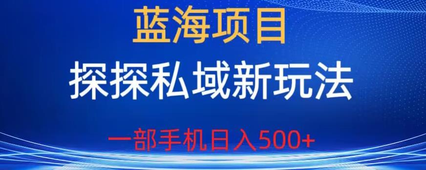 蓝海项目，探探私域新玩法，一部手机日入500+很轻松【揭秘】-夜影资源