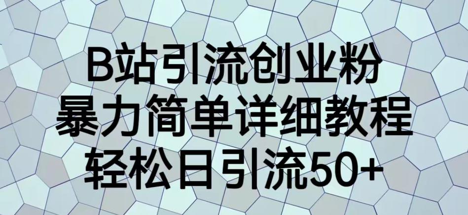 B站引流创业粉，暴力简单详细教程，轻松日引流50+【揭秘】-夜影资源