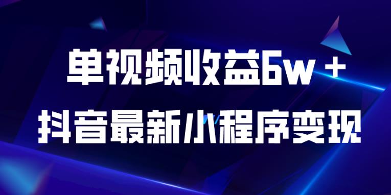 抖音最新小程序变现项目，单视频收益6w＋，小白可做【揭秘】-夜影资源