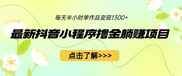 最新抖音小程序撸金躺赚项目，一部手机每天半小时，单个作品变现1300+【揭秘】-夜影资源