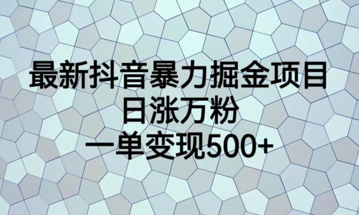 最新抖音暴力掘金项目，日涨万粉，一单变现500+【揭秘】-夜影资源