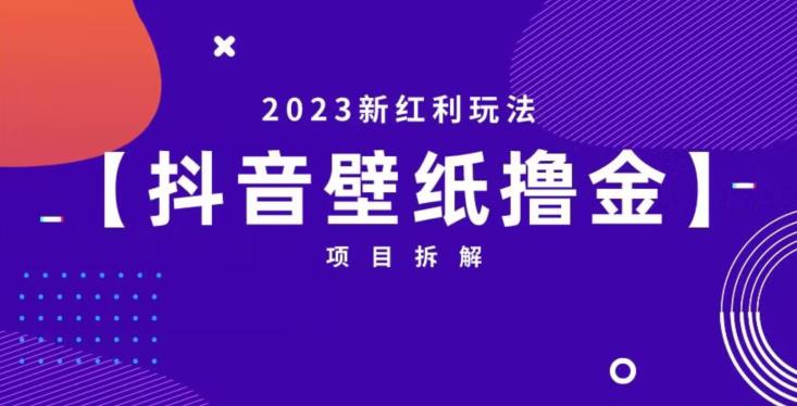 抖音壁纸小程序创作者撸金项目，2023新红利玩法【项目拆解】-夜影资源