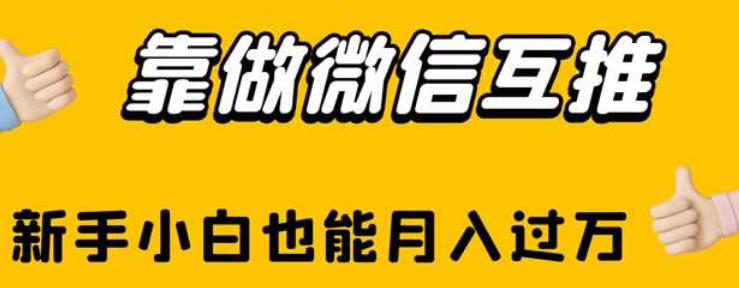 靠做微信互推，新手小白也能月入过万【揭秘】-夜影资源