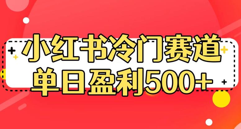 小红书冷门赛道，单日盈利500+【揭秘】-夜影资源