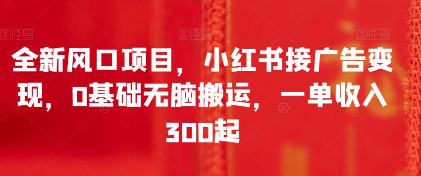 全新风口项目，小红书接广告变现，0基础无脑搬运，一单收入300起-夜影资源