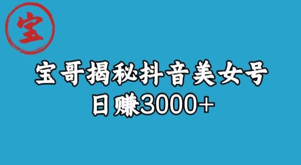 宝哥揭秘抖音美女号玩法，日赚3000+【揭秘】-夜影资源