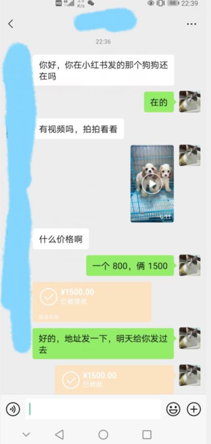 20240102093130-6593d7f299d0d