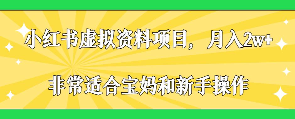 小红书虚拟资料项目，月入2w+，非常适合宝妈和新手操作【揭秘】-夜影资源