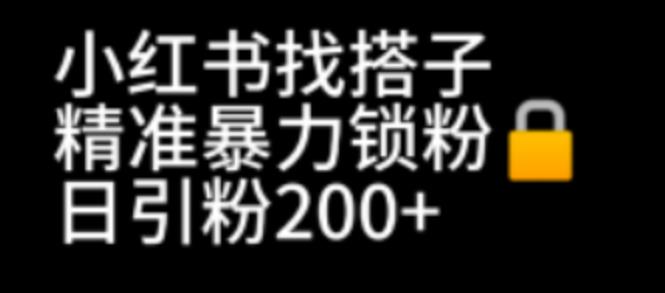 小红书找搭子暴力精准锁粉+引流日引200+精准粉-夜影资源