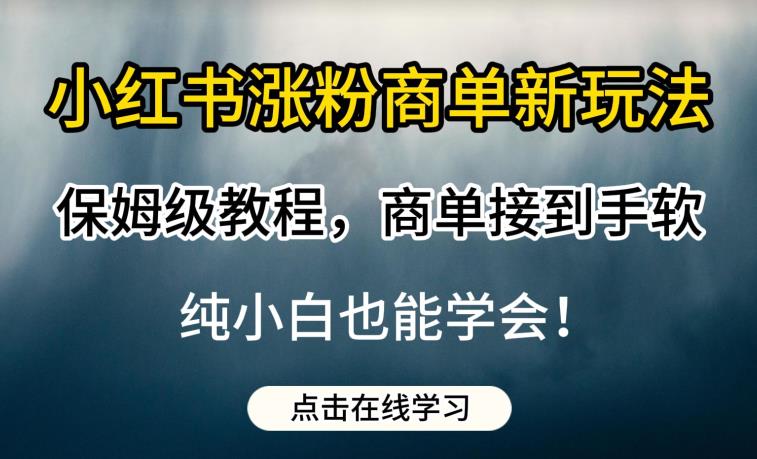 小红书涨粉商单新玩法，保姆级教程，商单接到手软，纯小白也能学会【揭秘】-夜影资源