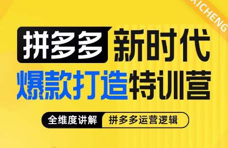 玺承·拼多多新时代爆款打造特训营，全维度讲解拼多多运营逻辑-夜影资源