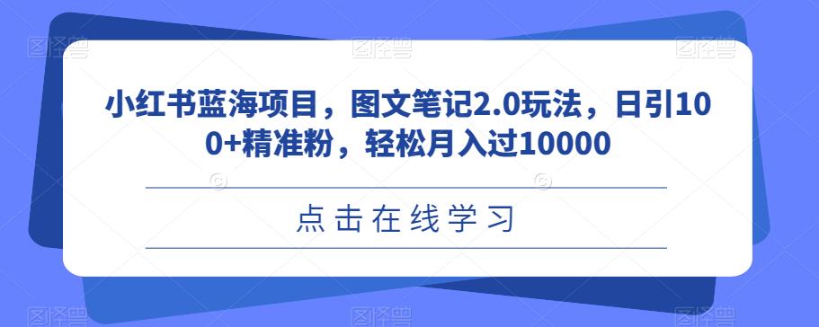 小红书蓝海项目，图文笔记2.0玩法，日引100+精准粉，轻松月入过10000【揭秘】-夜影资源