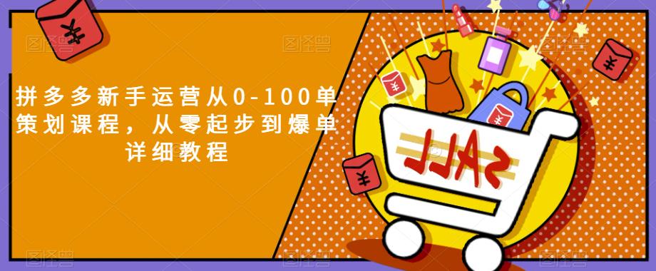 拼多多新手运营从0-100单策划课程，从零起步到爆单详细教程-夜影资源